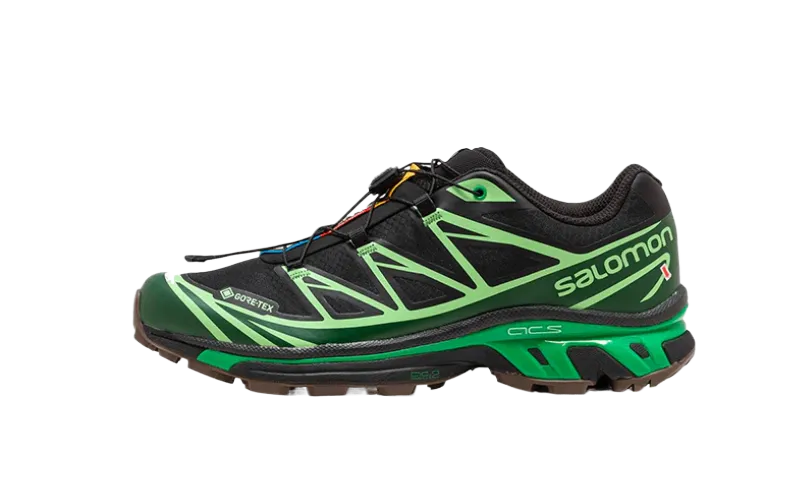 Salomon Advanced XT-6 Gore-Tex Eden Green Ash